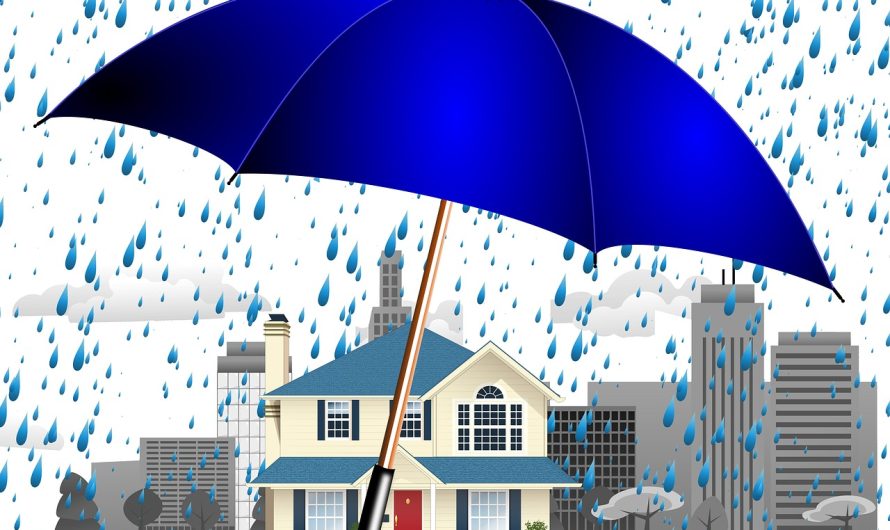 Tips Memilih Asuransi Rumah Tangga Sesuai Kondisi Hunian: Rumah Sendiri, Kontrak, dan Kos