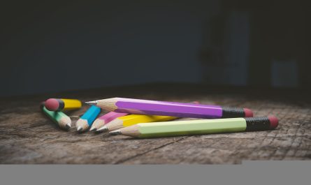 Perlengkapan sekolah untuk musim ajaran baru